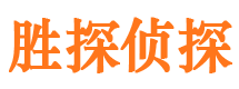 清新侦探